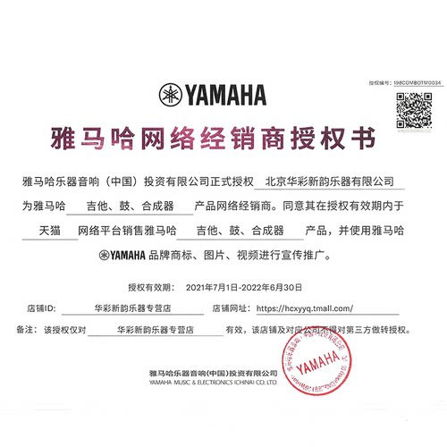 雅马哈YAMAHA电子琴初学者KB309/kb291升级61键家用人儿童考级 - 图2