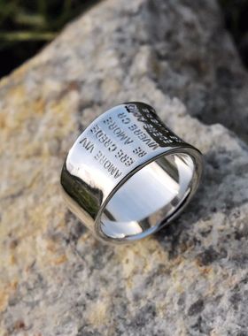 进口中性款925纯银简约书页戒指