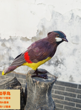 仿真乌鸦摆件仿真鸟装饰摆件喜鹊