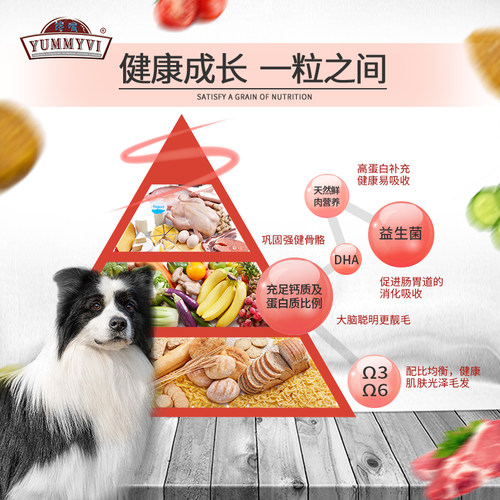 伴它金牌 边牧专用粮10kg 中大型犬粮成犬幼犬通用狗粮 雪山优选 - 图2