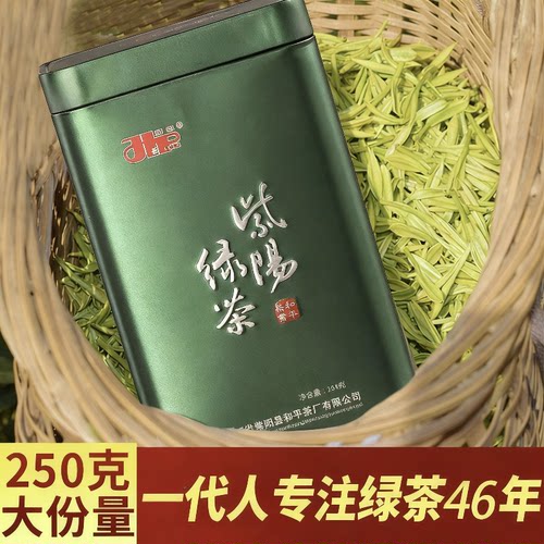 2026新茶现货紫阳富硒茶产区明前采摘嫩芽一级高山云雾绿茶叶250g - 图2