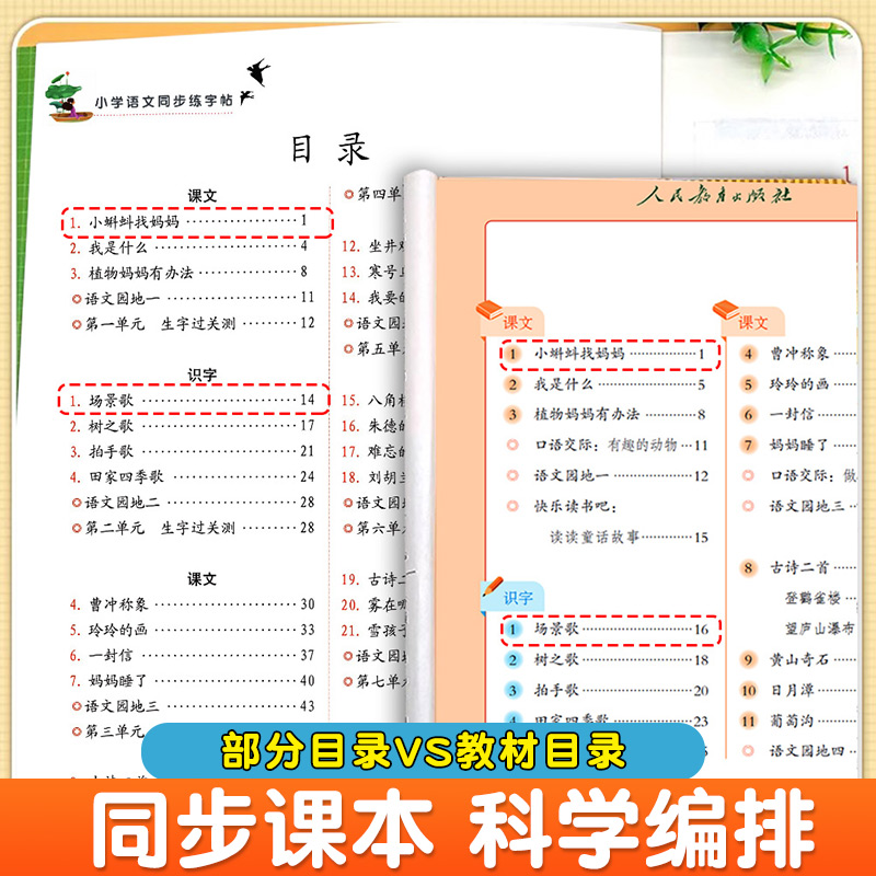 二年级上册同步练字帖每日一练语文人教版部编版人教硬笔书法小学生专用写字本一二类字练字田子格字贴看拼音字贴纸写生字笔画笔顺 - 图0