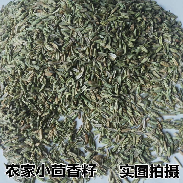 新货小茴香250g-500g包邮散装火锅调料卤料增香作料茴香粉可磨粉-图0