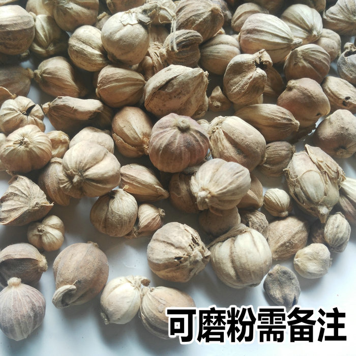 新货白豆蔻50g-500g包邮白扣香料卤料炖肉调料白寇粉火锅调料作料-图0