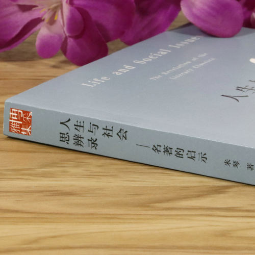人生与社会思辨录名著的启示怎么读文学经典的人生智慧约翰克利斯朵夫雨果加缪卡夫卡马尔克斯等经典作家在别人的句子里阅读十五讲 - 图0
