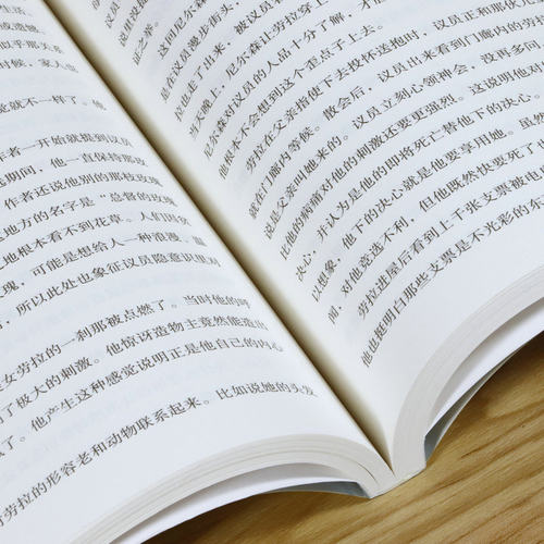 人生与社会思辨录名著的启示怎么读文学经典的人生智慧约翰克利斯朵夫雨果加缪卡夫卡马尔克斯等经典作家在别人的句子里阅读十五讲 - 图2