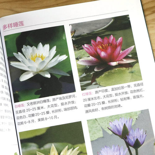 209种常见花草图鉴/家庭种花养花鉴赏图鉴认识常见花草植物花卉书籍花草时光一花一世界一草一天堂身边花草树木速查图鉴 - 图3