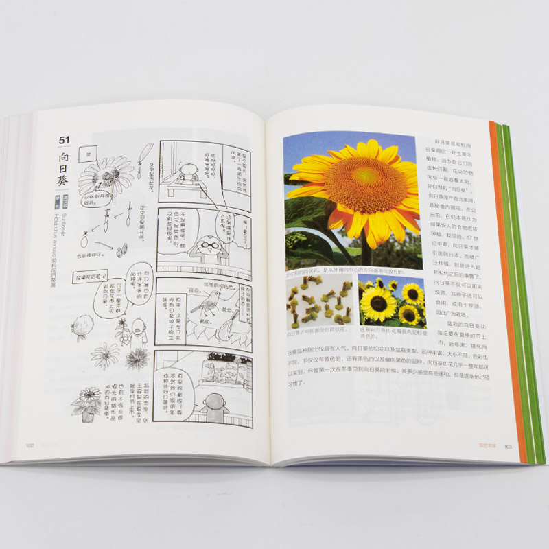 身边的自然课:认识常见的100种植物 花福小猿著植物科普植物图集学生少儿益智科普漫画读物植物朋友圈我身边的大自然世界正版书籍