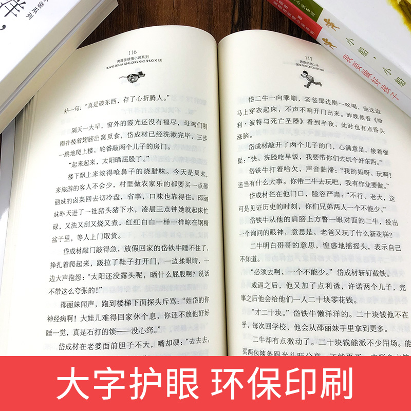 我要做好孩子今天我是升旗手 野蜂飞舞叫一声老师等黄蓓佳倾情小说 暑假阅读推荐 - 图2