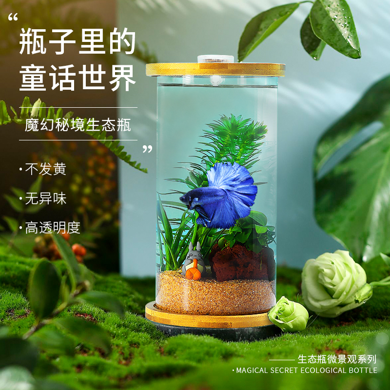 生态瓶水草小鱼缸玻璃办公桌面微景观生日情侣礼物DIY作业免换水 - 图1