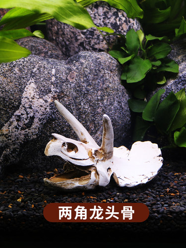 仿真恐龙头骨鱼缸造景躲避屋树脂爬宠仿真骷髅头骨水族箱装饰摆件 - 图1