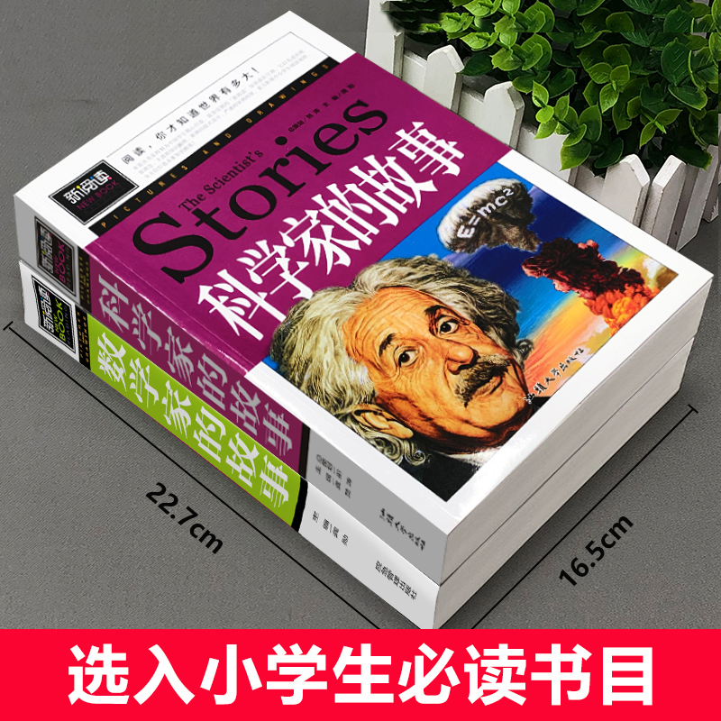 科学家的故事和数学的故事全套小学生喜爱的励志经典名人故事写给我们中国孩子看的名人传中外三年级四年级课外书必读 - 图0