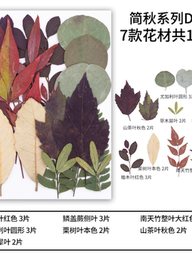 天然压花干花标本DIY套装复古