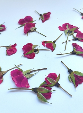 小玫瑰手工压花干花植物