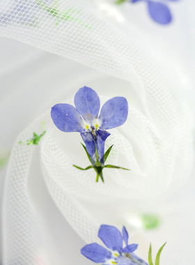 八倍蓝色干花植物标本树叶子diy