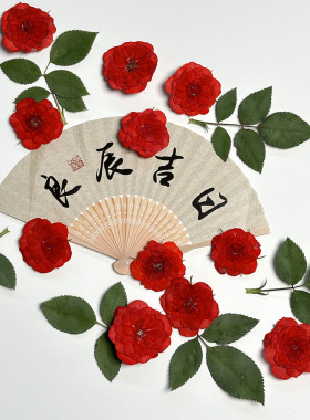 红色玫瑰压花植物标本手工相框