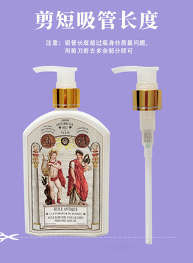 法国1803身体油泵头身体乳压头