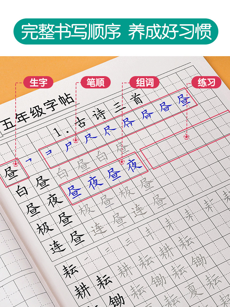 五年级上册下册字帖人教版同步语文练字帖生字组词练习小学生笔画笔顺每日一练正楷钢笔专用楷书练字本硬笔书法神器写字帖小学描红
