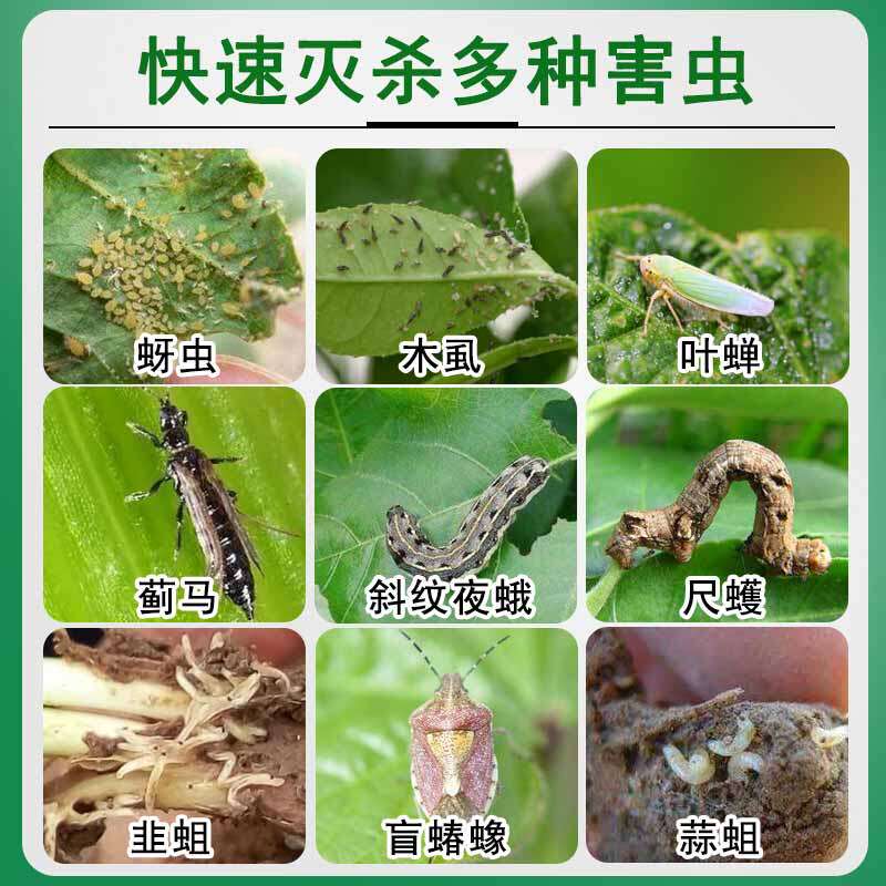 农药大全噻虫嗪螓高氯氟蔬柑橘树小麦叶蝉蓟马杀虫剂专用药杀虫药 六亩田农资商城 淘优券