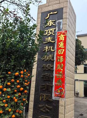 广东顶麦公司三相电面包和面机SS-1A25kg小麦面粉搅拌机大容量