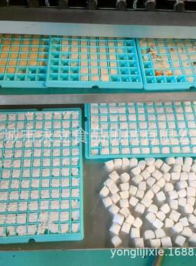 全自动水果蔬菜腌制牛肉真空冷冻干燥机 柠檬片冻干流水线脱水机
