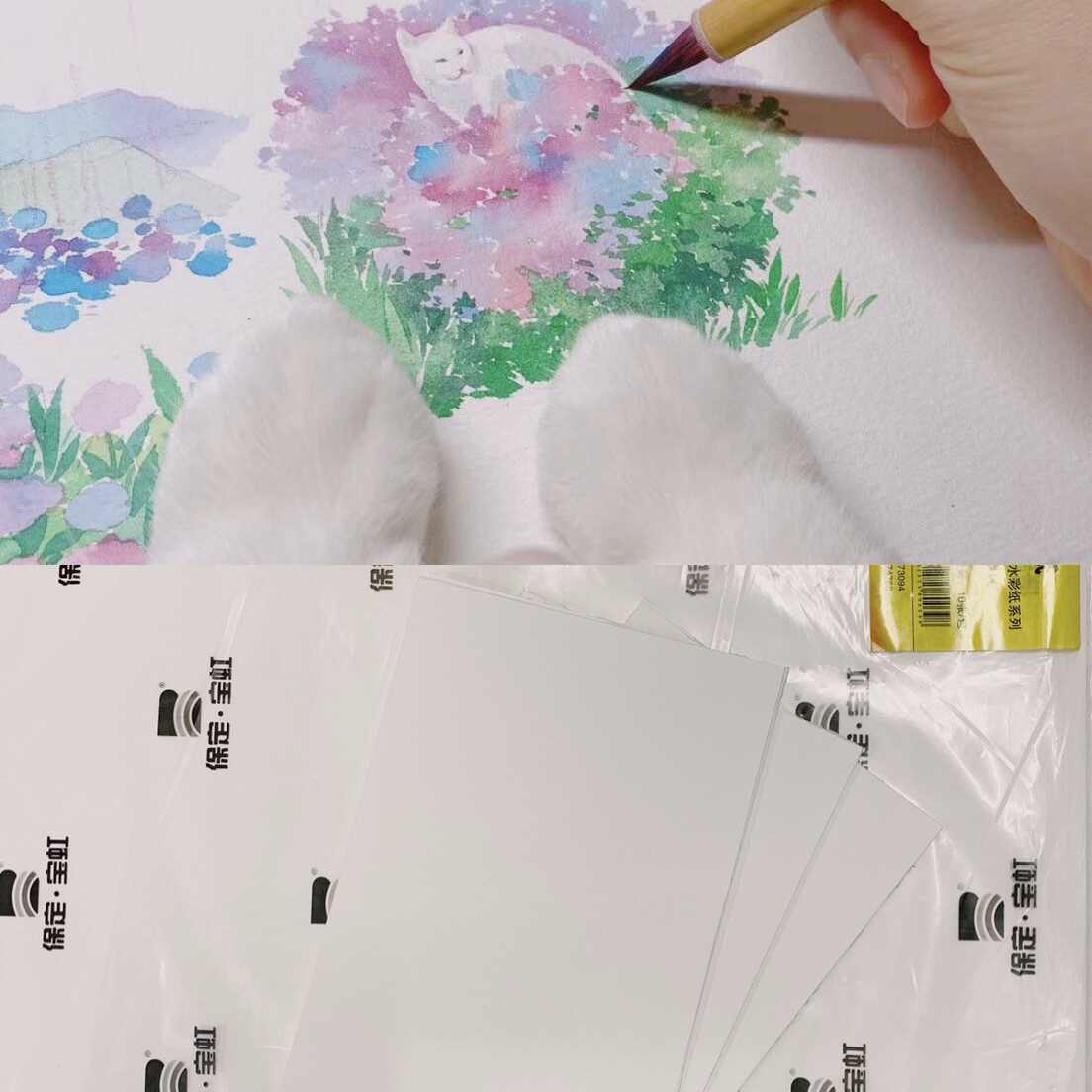 宝红水彩纸 新人首单立减十元 21年8月 淘宝海外