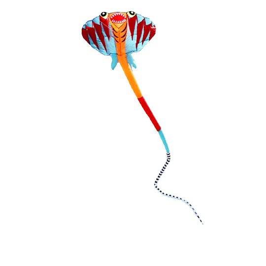 Weifang Kite Большой трехмерный лучевой змей Высококлассный кайт с мягким скелетоном Легко летать для начинающих