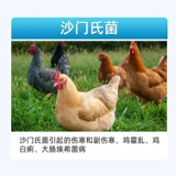 20% Флорфеникол Инъекции Ветеринария для свиней, крупного рогатого скота и овец Высокая температура Смешанный кашель и астма Инъекции Респираторная инфекция Рвотный кашель