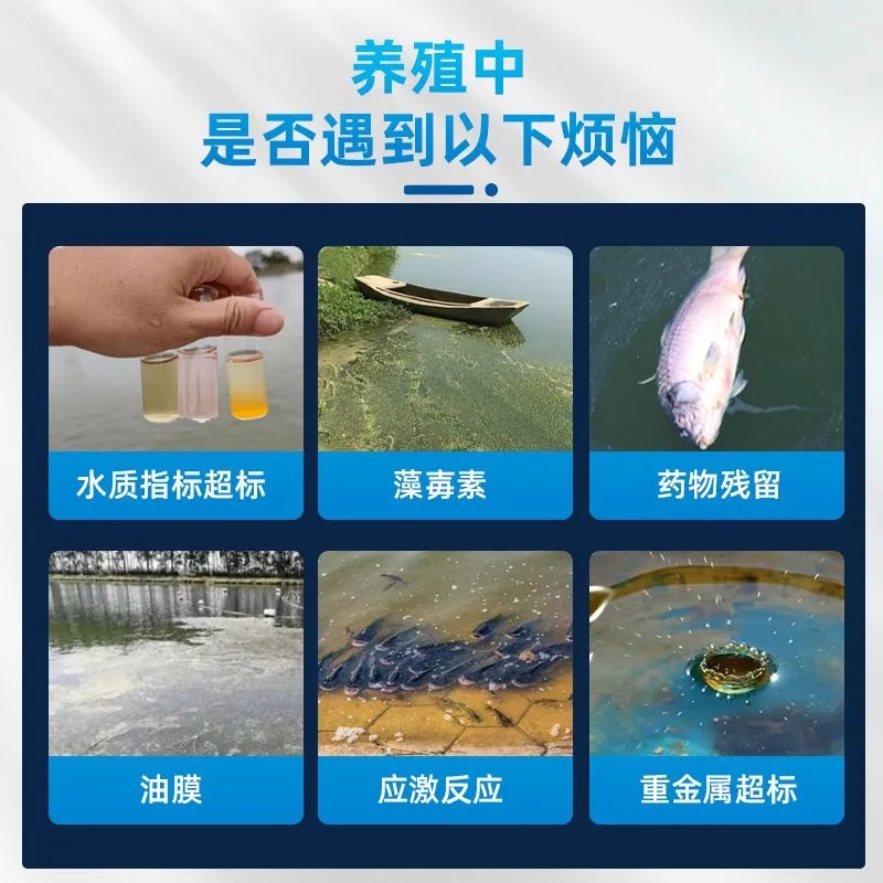 解毒碧水安浓缩多元有机酸鱼虾蟹塘解蓝绿藻毒降氨氮油膜水产养殖 - 图1