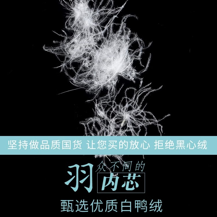 飞林蝶2024新秋冬韩版羽绒马甲女短款保暖简约气质立领马甲背心潮