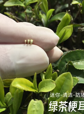 茶叶梗耳棒养耳洞耳钉女防堵针消炎耳棍男发炎茶叶棍学生隐形耳饰