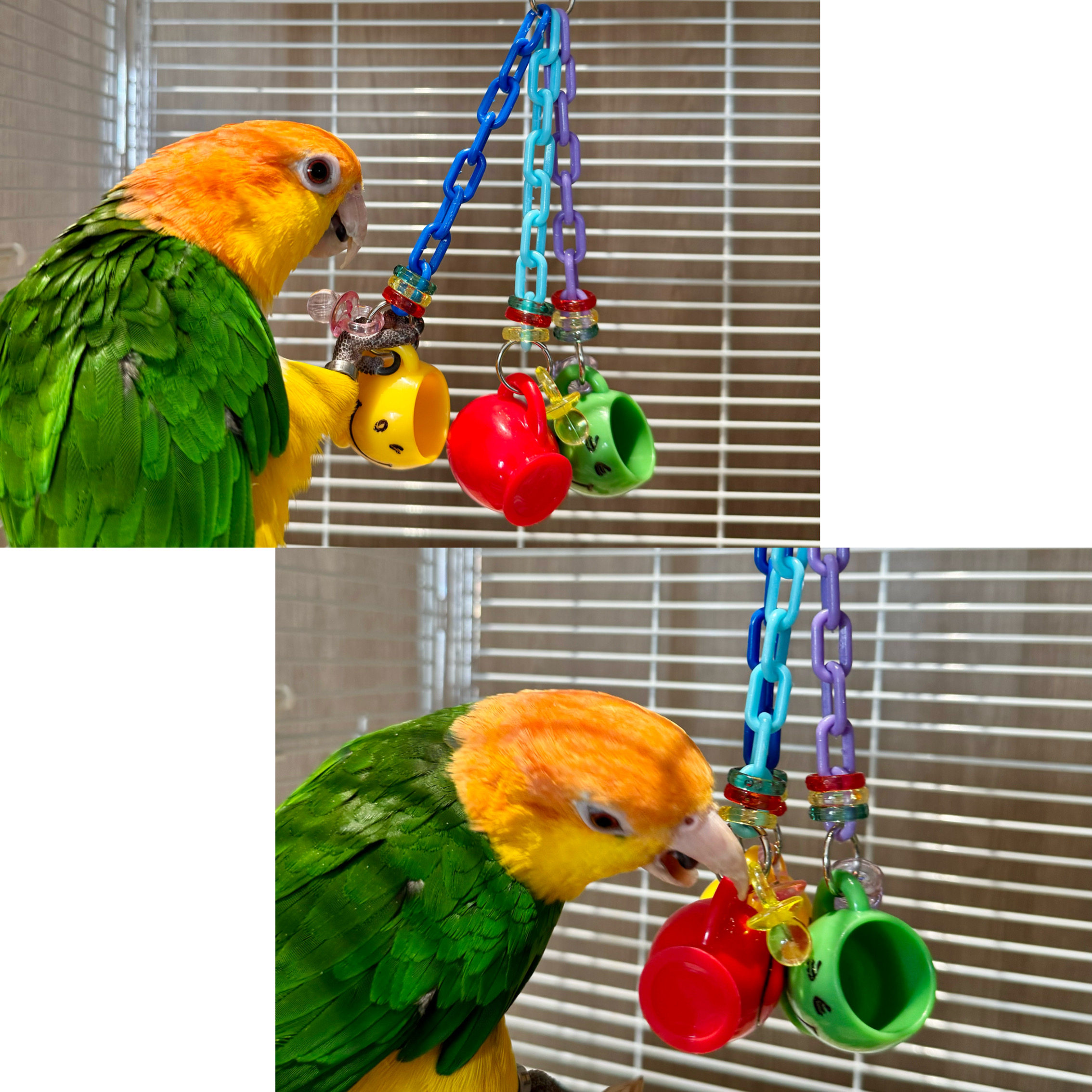 鹦鹉玩具解闷自嗨小鸟啃咬大全玄凤小太阳牡丹觅食丰容互动套装,淘宝优惠券,粉丝福利购,淘宝优惠卷