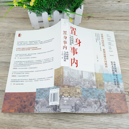 【豆瓣年度】置身事内:中国政府与经济发展 兰小欢著正版包邮 管理书籍 金融投资  中国发展现实的把握 经济学理论 上海人民出版社 - 图3