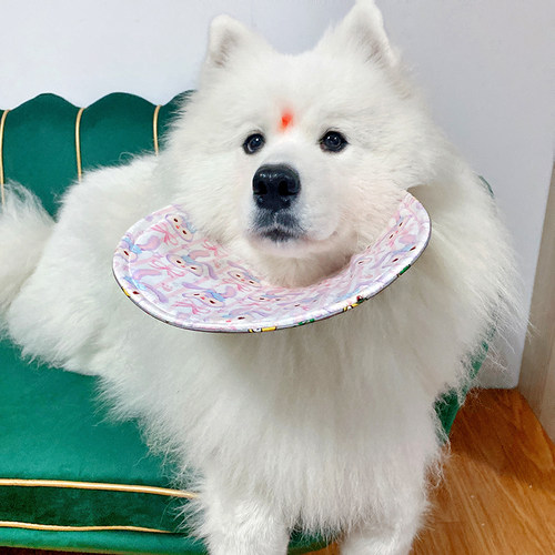 宠物狗狗口水巾围脖中大型犬金毛萨摩耶阿拉斯加夏季防口水狗围巾 - 图0