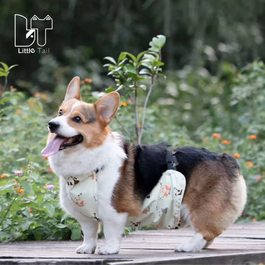 Littletail dog waterproof belly band protects tummy