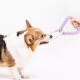 Dog toy teeth grinding and teeth cleaning interactive tug of war