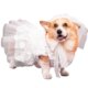Dog Photoshoot Wedding Clothes Wedding Dress