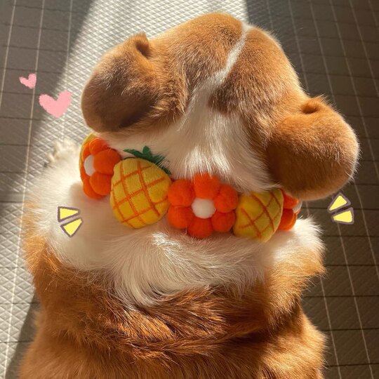 Pet Dog Neck Ornament Rainbow Flower Cute Collar Corgi Shiba Inu Japanese Internet Celebrity Dog Photo Ornament