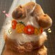 Pet Dog Neck Ornament Rainbow Flower Cute Collar Corgi Shiba Inu Japanese Internet Celebrity Dog Photo Ornament