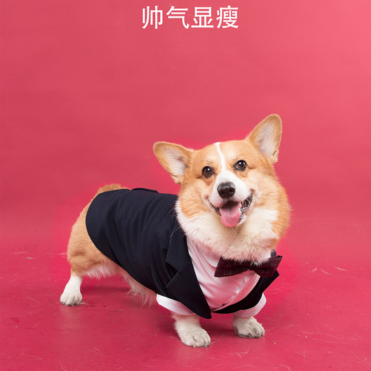Dog Wedding Suit Dress Suit Photoshoot