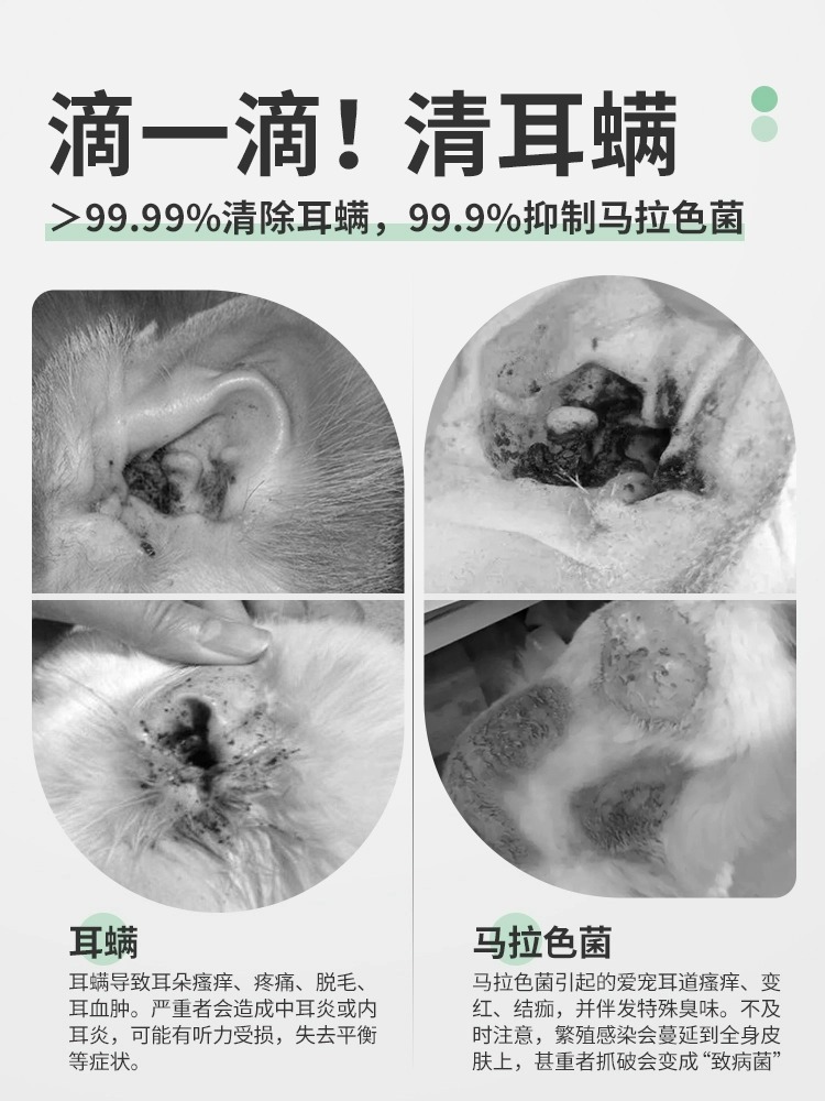 宠物洗耳液猫咪滴耳液耳螨真菌猫用狗用洁耳液猫咪狗狗耳朵清洁液 - 图3