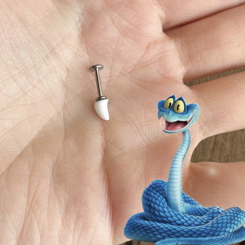 Shinma疯狂动物城【盖瑞毒牙】钛合金平底白色虎牙钉铆钉可爱唇钉 - 图0