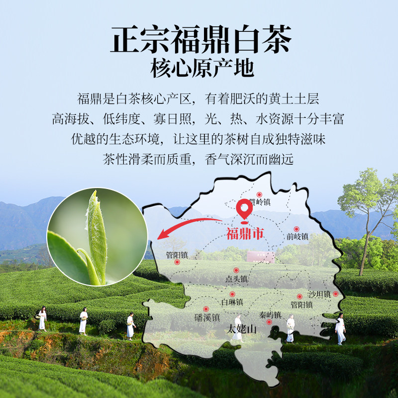 馥益堂福鼎白茶长藏久久2020年老寿眉茶饼300g*5饼口粮茶收藏礼赠,淘宝优惠券,粉丝福利购,淘宝优惠卷