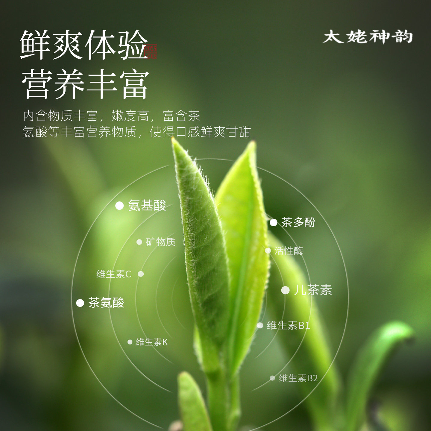 馥益堂福鼎白茶2025年春茶太姥神韵白牡丹茶饼150g*5礼盒收藏装,淘宝优惠券,粉丝福利购,淘宝优惠卷