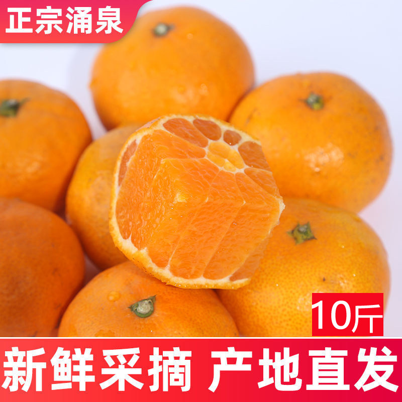 正宗临海涌泉蜜桔5斤新鲜水果橘子当季整箱黄岩桔现摘官方旗舰店,淘宝优惠券,粉丝福利购,淘宝优惠卷