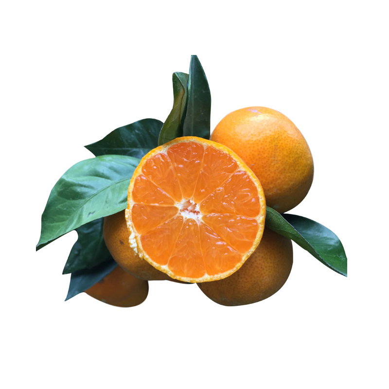 正宗临海涌泉蜜桔新鲜水果橘子10斤一整箱蜜橘当季官方旗舰店黄岩,淘宝优惠券,粉丝福利购,淘宝优惠卷