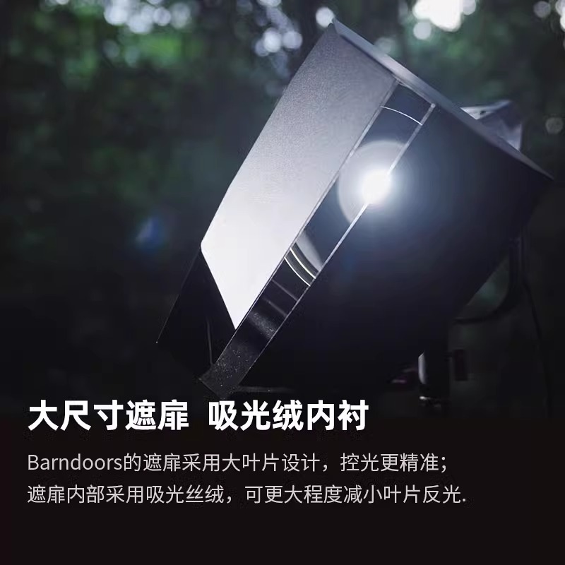 Aputure/爱图仕LS C300d II+四叶挡板组合 LED影视灯摄影摄像补光灯二代 专业设备深口抛物线柔光箱蜂巢格栅 - 图0