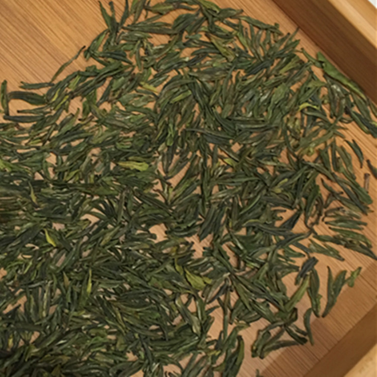 2023新茶 明前 绿杨春头采一芽一叶 捺山绿茶礼 盒250g