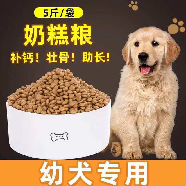 ອາຫານໝາ ຖົງໃຫຍ່ ປະເພດ 40 ກກ 10 ກິໂລ ໝາຜູ້ໃຫຍ່ Golden Retriever Bichon Frize 20 ກິໂລ ລາຄາເກັບກູ້ໝາໃຫຍ່