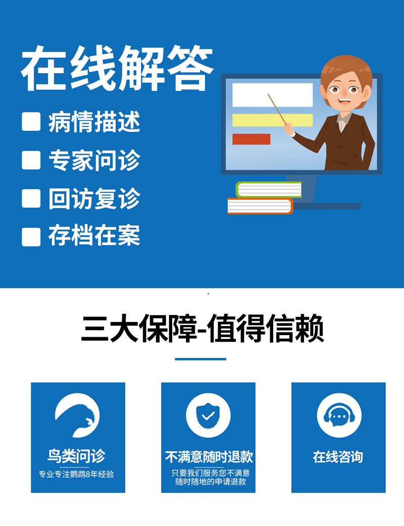 鹦鹉玄凤各种鸟类生病资深医生大夫专业经验会诊在线咨询治疗方案 - 图0